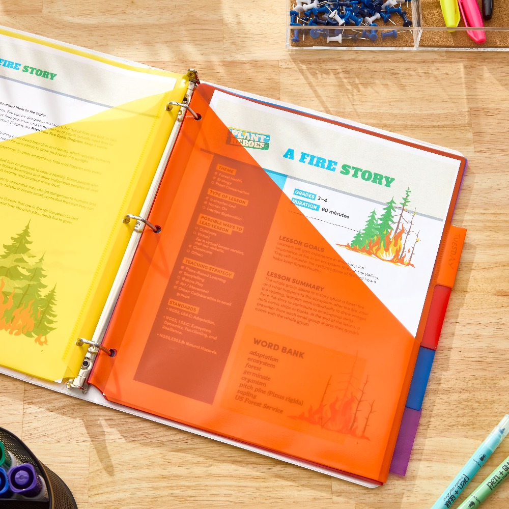 Vibrant Color Index Tab Divide - Tab Divider A4 ulasan dan harga