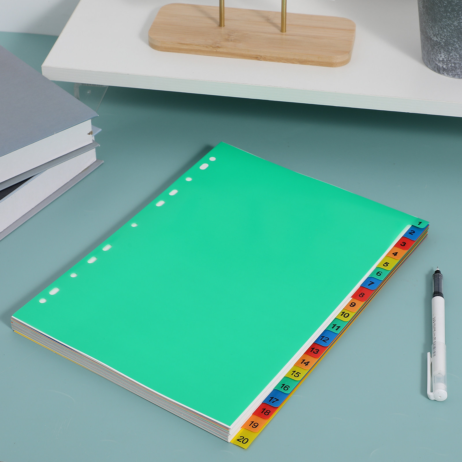 20 Pages A4 Colorful Plastic B - Tab Divider A4 ulasan dan harga