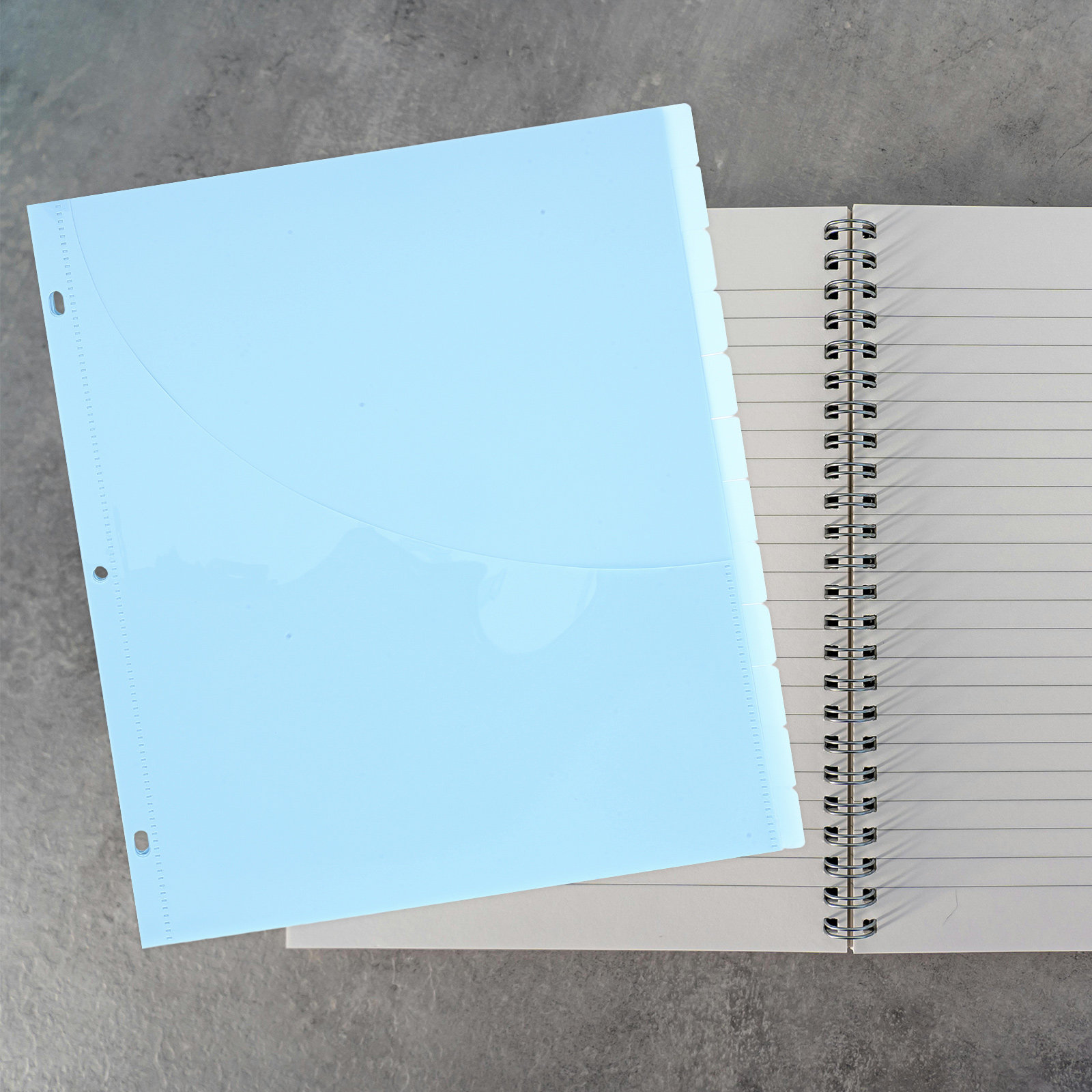 12Pcs Binder Dividers A4 Size  - Tab Divider A4 ulasan dan harga